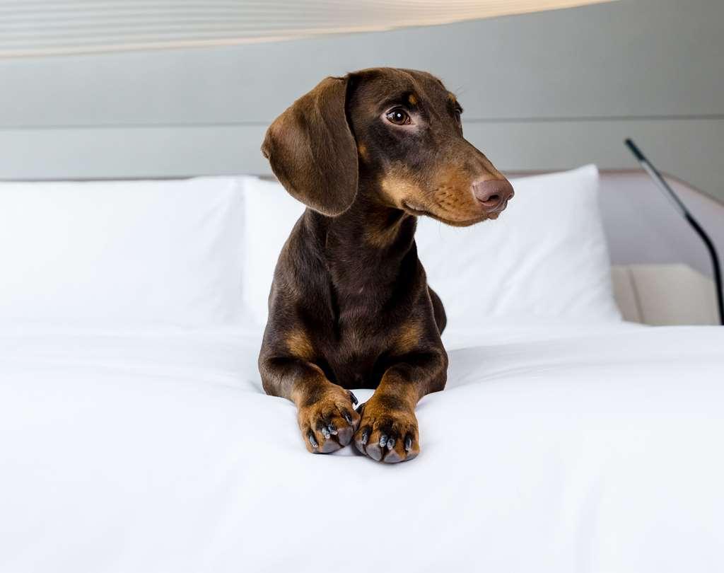 Me Barcelona Hotel Удобства снимка